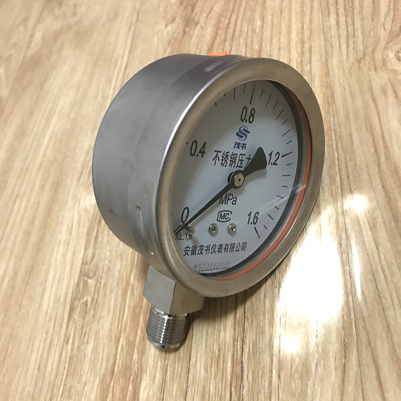 YTN系列耐震压力表